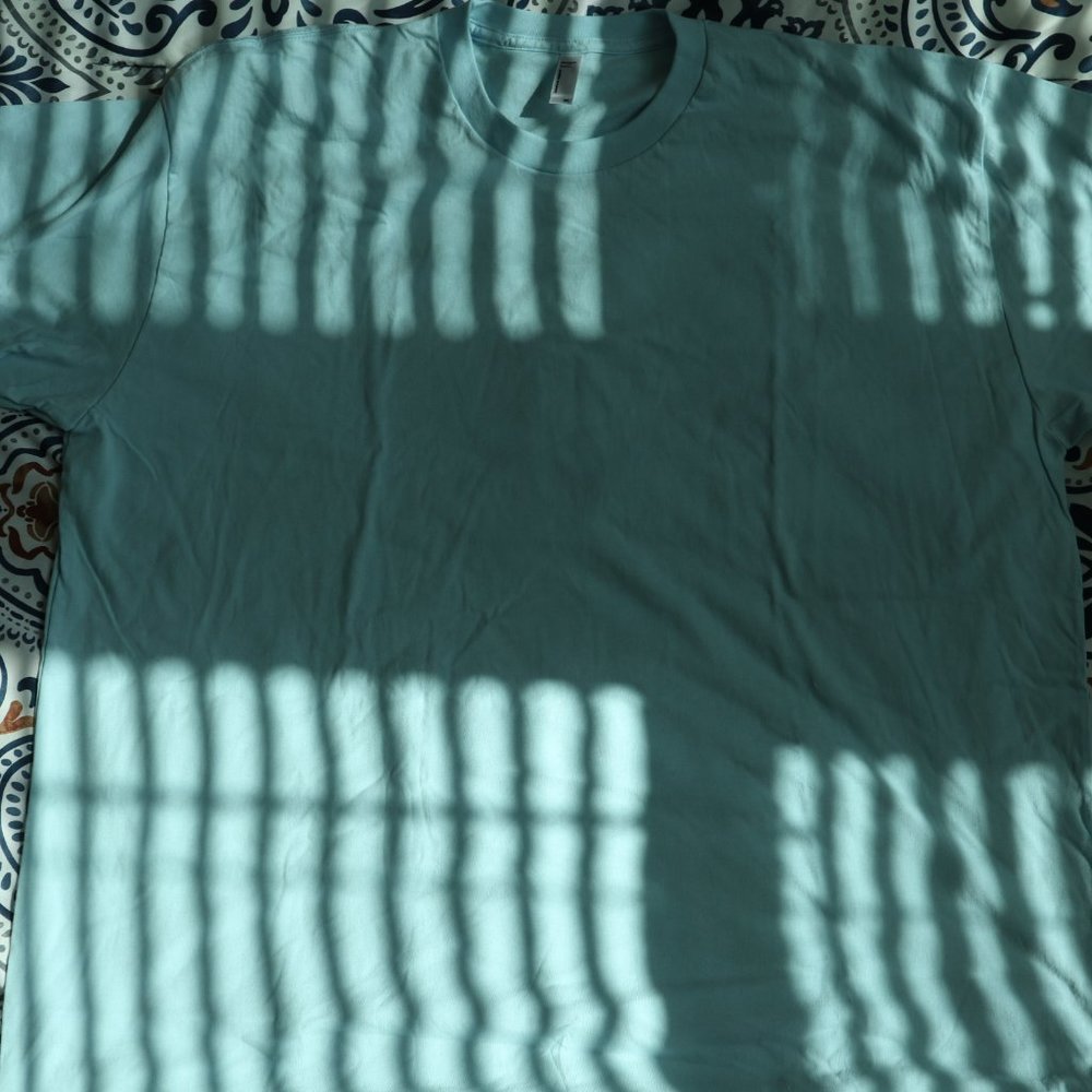 BRAND NEW American Apparel Men's T Shirt